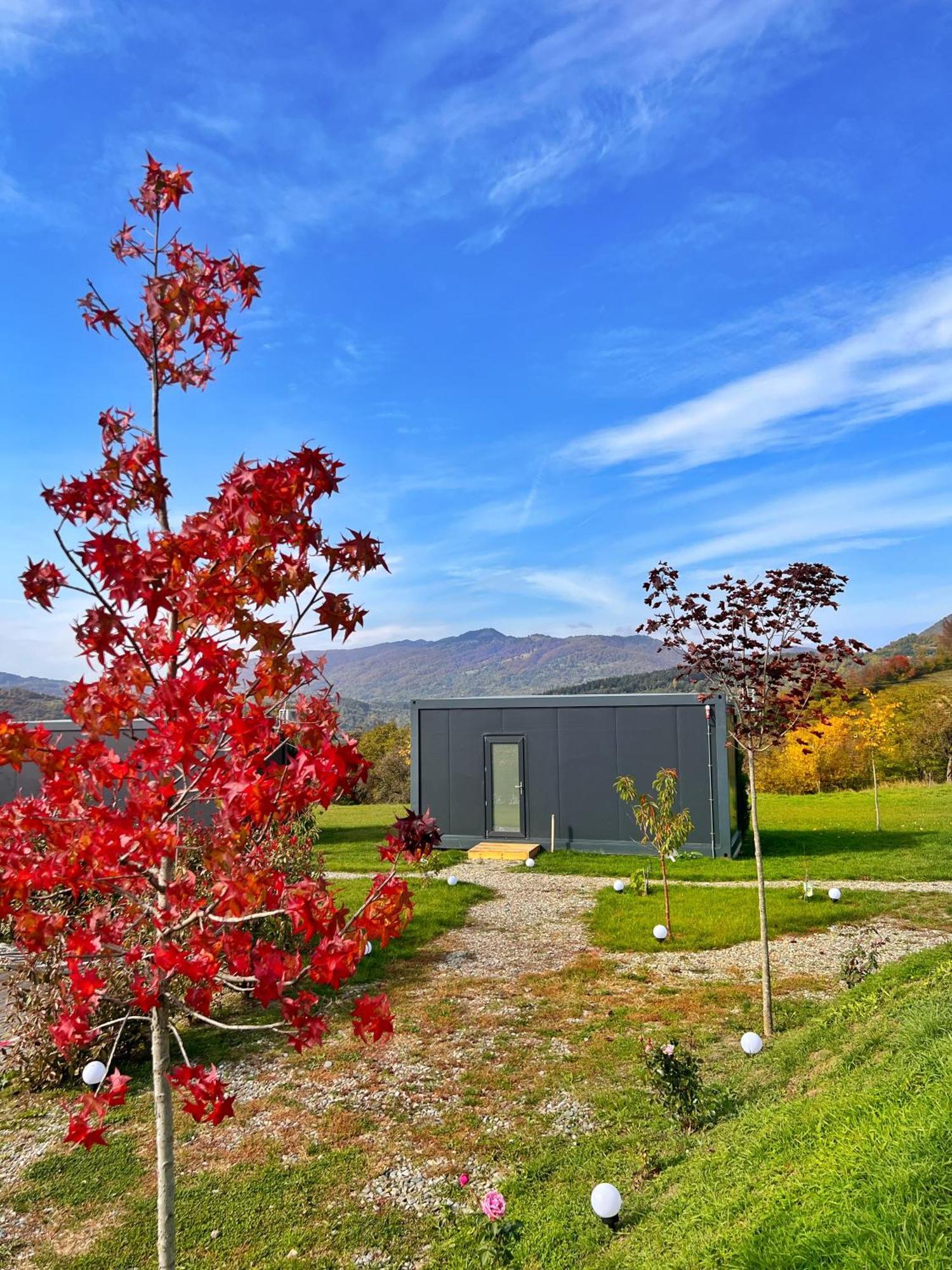 Flandra Glamping Hotel Corbeni Exterior photo
